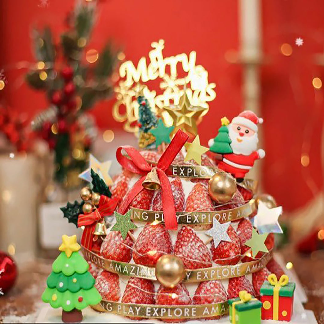 Christmas cake F13